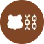 Berachain