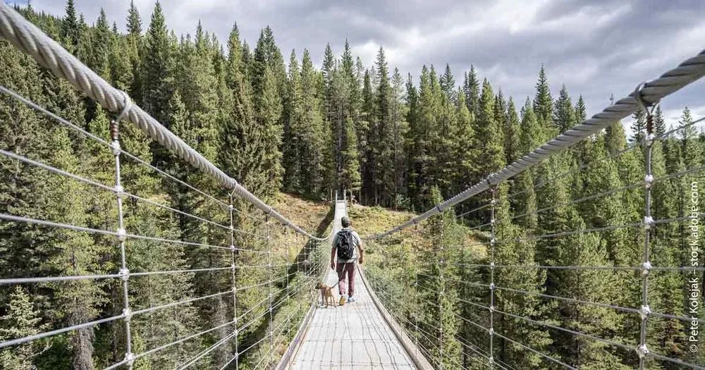 Sparst du dich reich oder arm? Wie dir das Altersvorsorgedepot über die Brücke hilft Sparst du dich reich oder arm? Wie dir das Altersvorsorgedepot über die Brücke hilft
