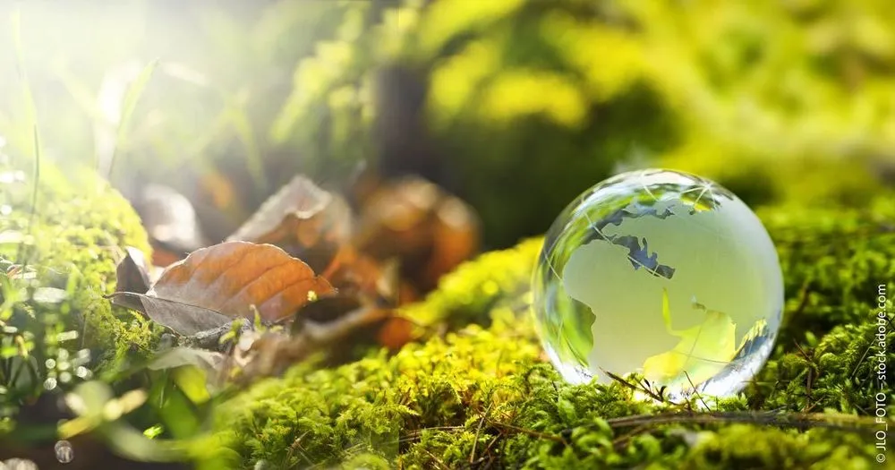 Der nachhaltige Global All Cap ETF von Vanguard ist da.