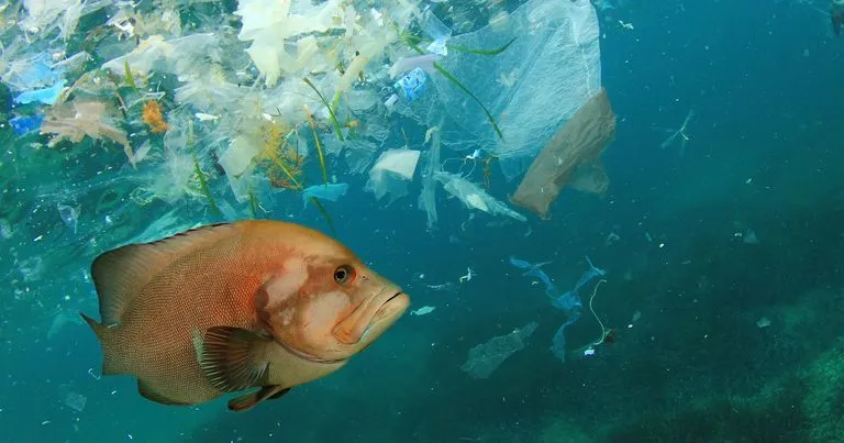 Blue Economy-ETFs als Investment Bild von Wasserverschmutzung