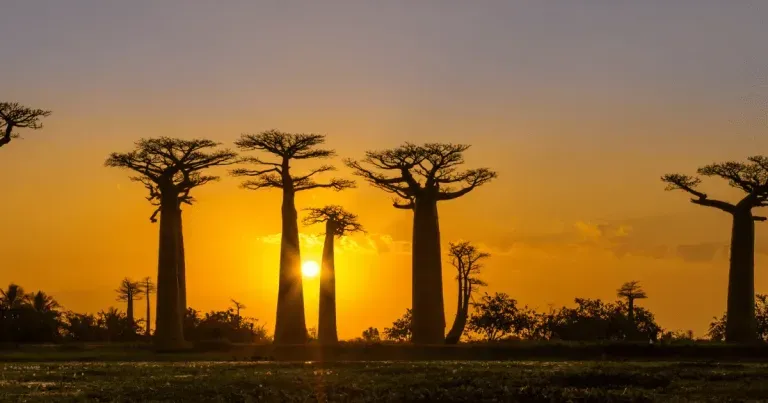 ETF sull'Africa