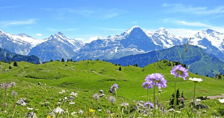 Paysage européen