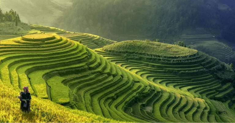 ETF Emerging Markets durables