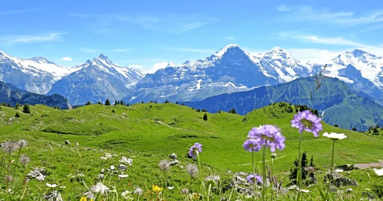 ETFs Sostenibles de Europa