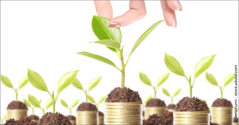 Il rendimento del dividendo