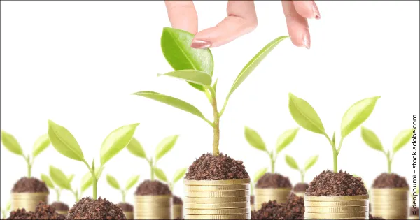 Rendement des dividendes