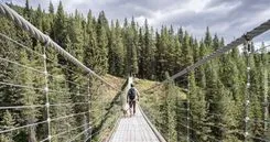 Sparst du dich reich oder arm? Wie dir das Altersvorsorgedepot über die Brücke hilft