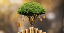 Das Bild zeigt einen Baum, der aus investiertem Geld wächst, und Dividenden als Früchte trägt